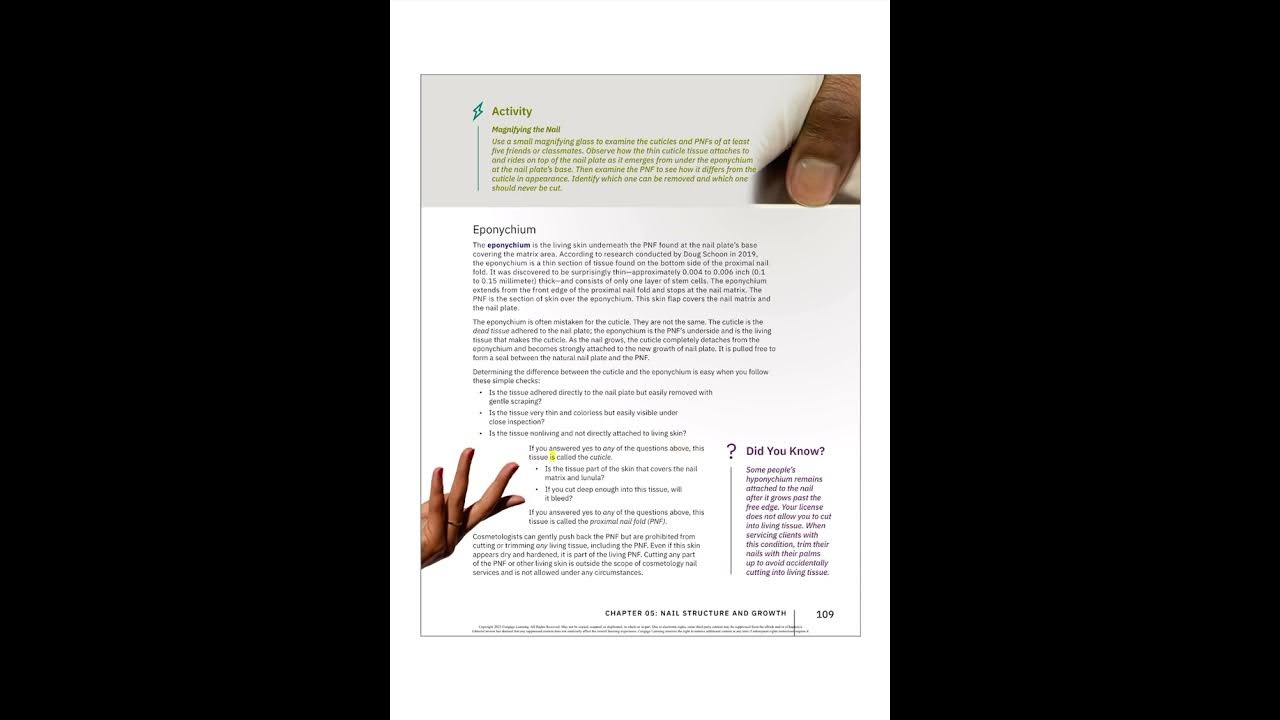 Milady cosmetology chapter 5 nail structure and growth youtube