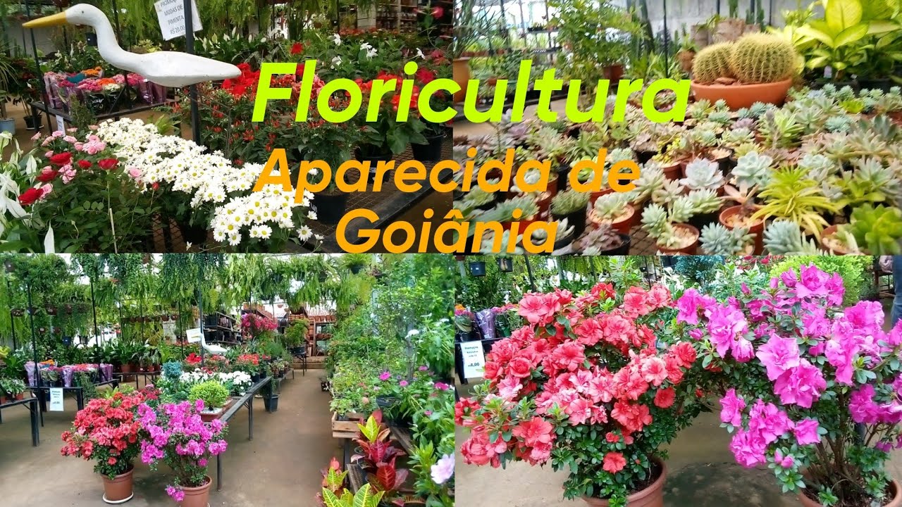Floricultura Garden em Aparecida de Goiânia-GO 2023