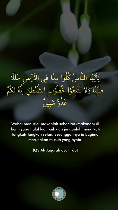 QS.AL-BAQARAH AYAT 168