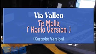 Via Vallen - Te Molla ( Koplo Version ) (KARAOKE TANPA VOCAL)
