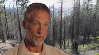 Culvert and Road Restoration