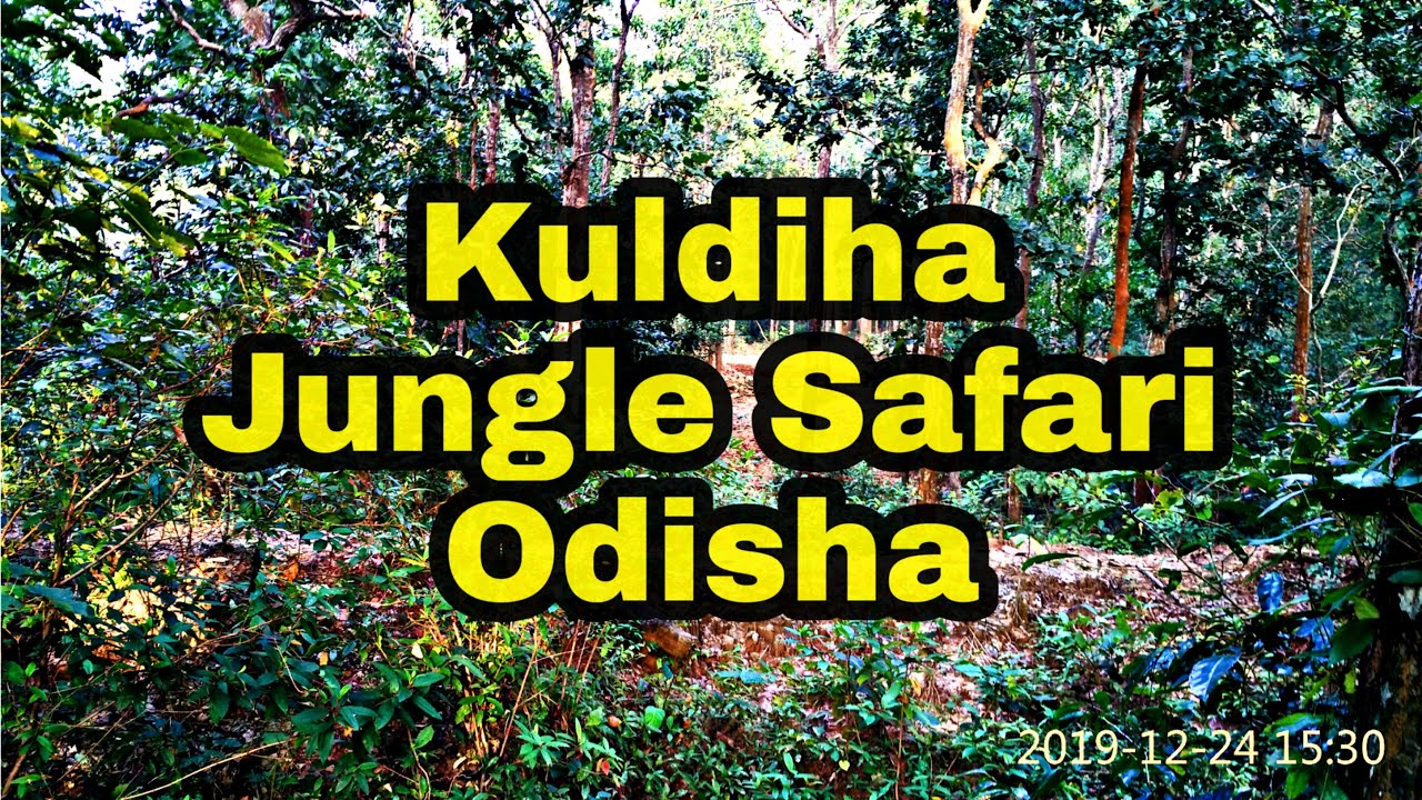 Kuldiha Jungle Safari II Rissia Nature Camp II Jorachua II Kuldiha Wildlife Sanctuary .