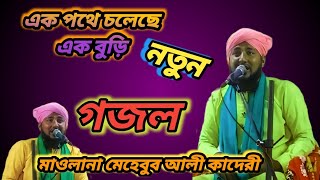 এক পথে চলেছে এক  বুড়ি 👌 নতুন গজল // মাওলানা মেহেবুব আলী কাদেরী //👍: