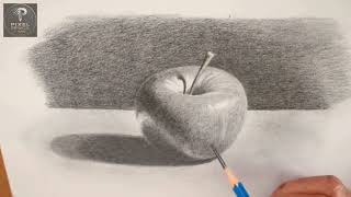 How to Draw a Realistic Apple Step by Step | Easy Pencil Drawing Tutorial