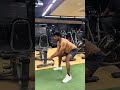 Workout mood to beast…