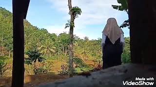 Download Lagu Renungan Cinta MP3