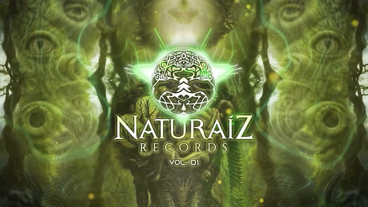 Sectio Aurea - Gatto Murr