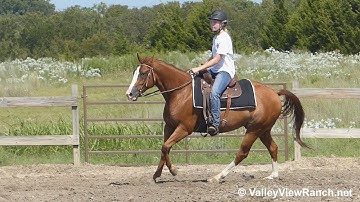 Exzackly On Time - amateur rider walks, jogs, lopes! - VallleyViewRanch.net