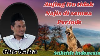 Gus Baha || Awal Mula Najisnya Anjing || subtitle indonesia
