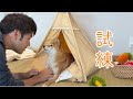 小さな体で大きな挑戦をする福ちゃん