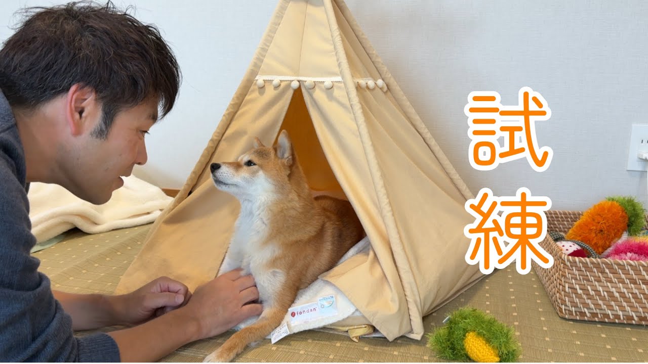 小さな体で大きな挑戦をする福ちゃん