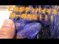 金髪を簡単にグレー・シルバーにする方法はこれ！久々の解説動画、『グッバイイエローシャンプー』の使い方！