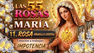 ROSA 11🌹IMPOTENCIA Emoción a Trabajar ✨Mensaje de Madre María ✨Sana tu Ser💗Código de las 55 Rosas