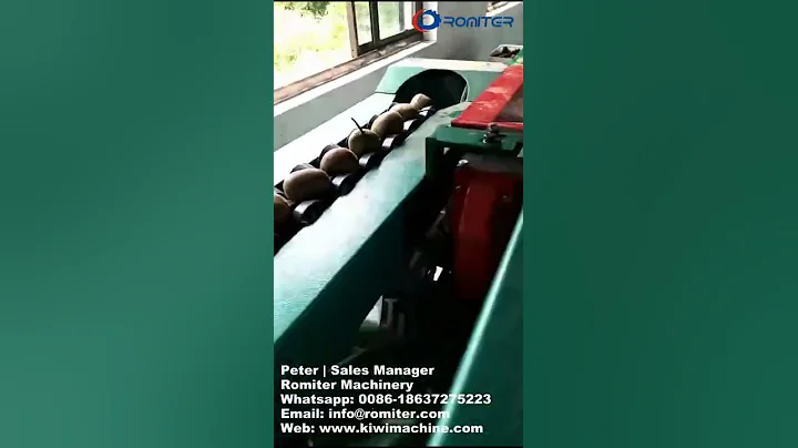 Automatic Kiwi Fruit Weight Sorting Grading Machine