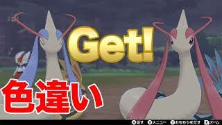 ポケモンシールド 色違いミロカロスがついに出た めっちゃ綺麗だし3日くらいかかったわ Youtube ポケモンシールド 色違いミロカロスがついに出た めっちゃ綺麗だし3日くらいかかったわ Youtube