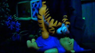 The Many Adventures Of Winnie The Pooh Magic Kingdom Walt Disney World Hd 1080p