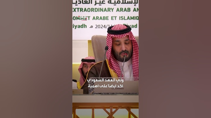 ولي العهد السعودي: يجب إنهاء الكارثة في فلسطين.. والعدوان الإسرائيلي يفاقم معاناة الأبرياء