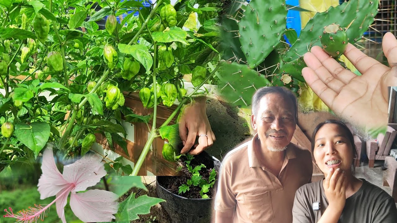 Exploring Kitchen Garden 🏡  | Discovering Zubza |