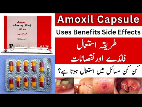 Amoxil Capsule Uses In Urdu | Amoxil Capsule 500mg | Amoxil Capsule 250 mg