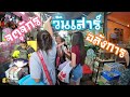 ตลาดนัดสัตว์เลี้ยงวันเสาร์ จตุจักร คนเยอะมาก  Pet market Chatuchak, Thailand