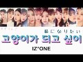 【IZ*ONE(아이즈원-アイズワン)】猫になりたい Korean.ver(고양이가 되고 싶어-I want to be a cat)〈かなるび/歌詞/日本語訳〉