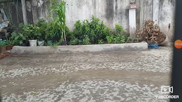 Mưa lớn ở Cần Thơ