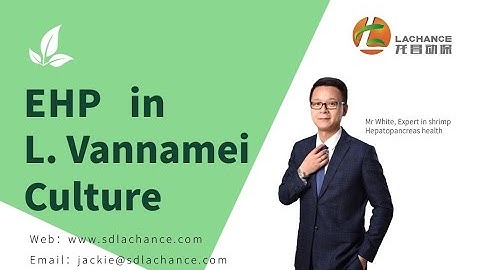 (EHP) in L. vannamei culture | shrimp farming General introduction of EHP in shrimp farming