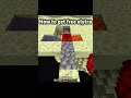 Free elytra #minecraft #gaming #trending
