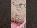 Michigan rock hunting never disappoints!
