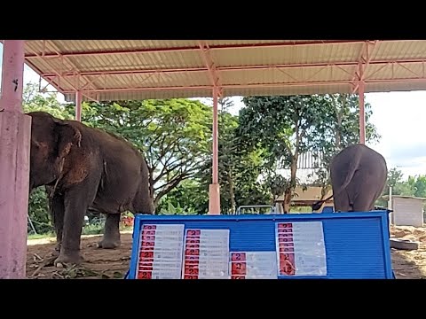 ผลสลากกินแบ่งรัฐบาล วันที่ 1 พย. 2567