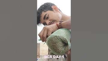 Bca Student Day 1🤧 #minivlog #dailyvlog #shorts #bca