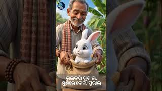 ଥିଲା ଏକ ଠେକୁଆ | Thila Eka Thekua | Odia Nursery Rhyme | Odia Kids Song | Odia Rhymes