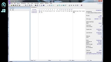 Examine Files with Winhex - Review