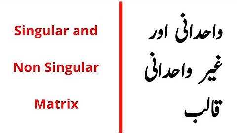 Singular Matrix || Non Singular Matrix || Types of matrix part 3 || example of singular matrix