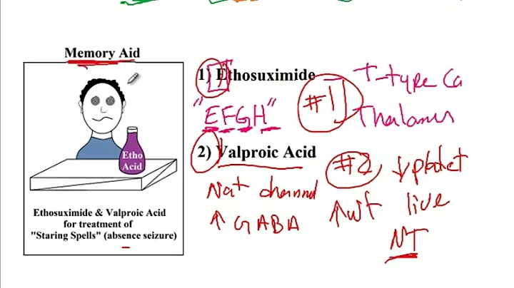 USMLE ACE Video 210: Classification and Management of Seizures