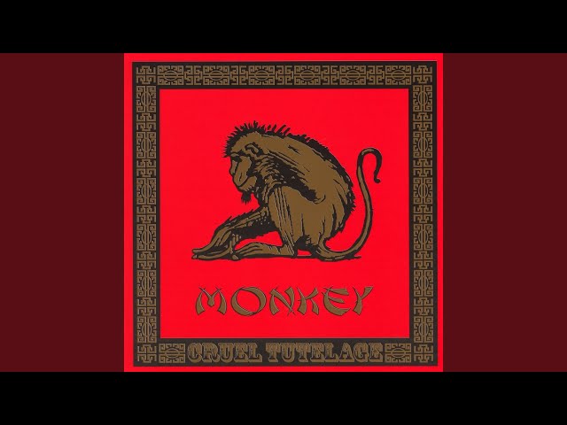 Monkey - Voice Of America