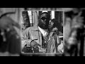 [FREE] Biggie Smalls x Wu-Tang Clan Type Beat - &quot;Rings&quot;