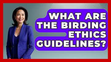 What Are the Birding Ethics Guidelines? | Bird Watching Diaries