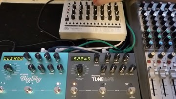 MFB Tanzmaus, Strymon Timeline & Big Sky