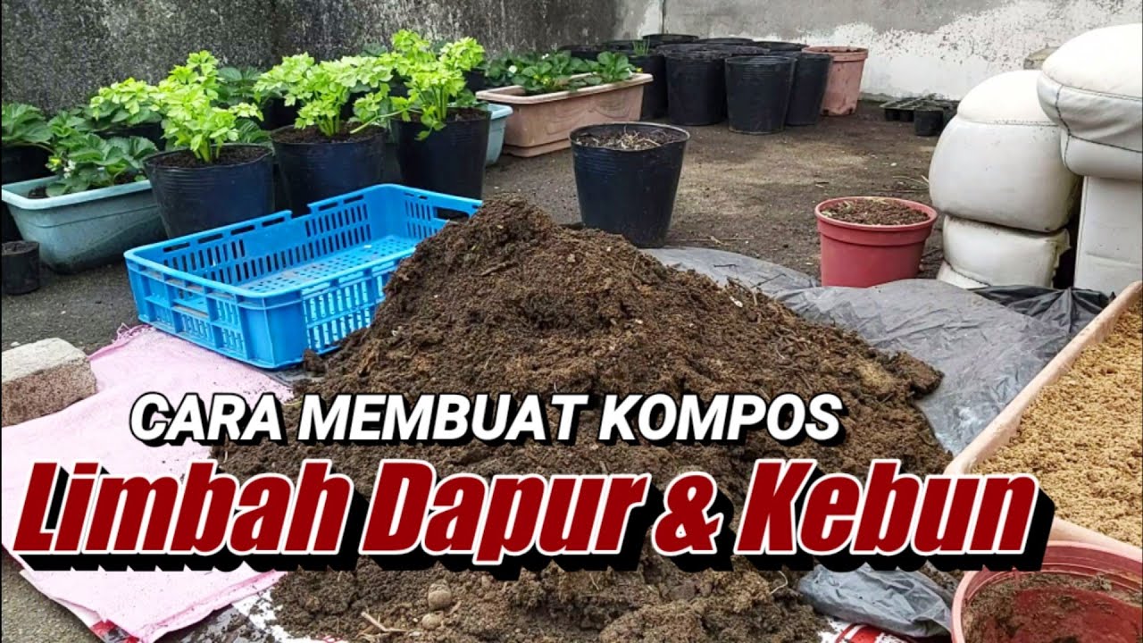  Cara  Sederhana  Membuat  Kompos Memanfaatkan Limbah Dapur  