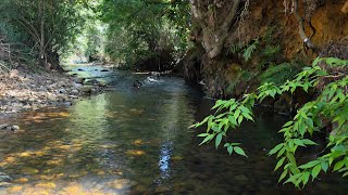Soft Flow Stream Sounds – Real-Time | 4K