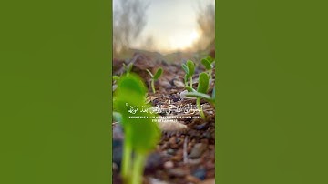 آيات بينات من سورة الحديد|القارئ شريف مُصطفى 🤍✨.