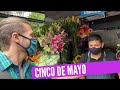Cinco de Mayo