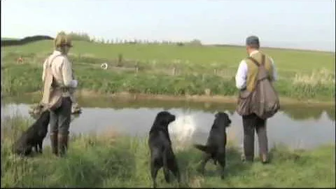 Countrywise - Brocklebank Labradors - John Halsted