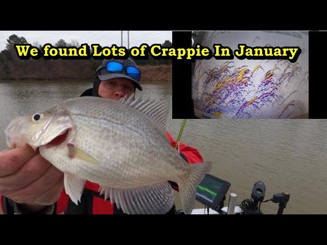 6 Ways to Catch More Crappie This Fall and Winter - Wired2Fish