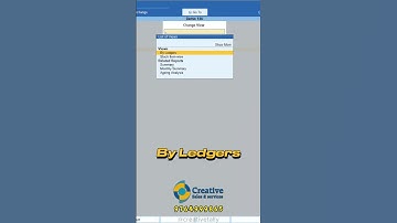 How To Check Party Wise Item Wise Daily Sales Report In Tally Prime | Ledger and Stock wise Report