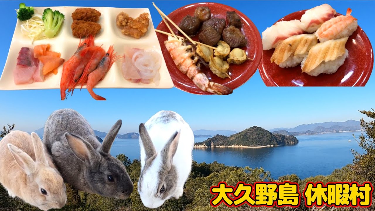 休暇 村 大 久野 島
