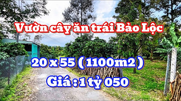 CHỊ CHỦ CẦN BÁN GẤP MẢNH VƯỜN NGẬP TRÀN CÂY ĂN TRÁI MẶT TIỀN ĐƯỜNG NHỰA KHU DÂN CƯ TẠI BẢO LỘC