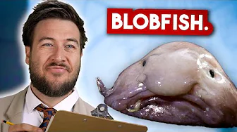 How Ocean Creatures Got Their Names