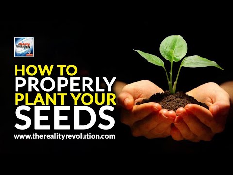 Earl Shoaff - How To Properly Plant Your Seeds